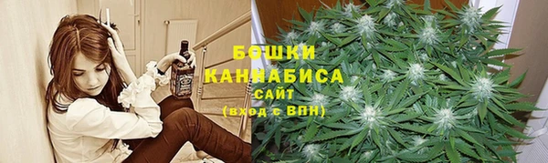 ПСИЛОЦИБИНОВЫЕ ГРИБЫ Алексин
