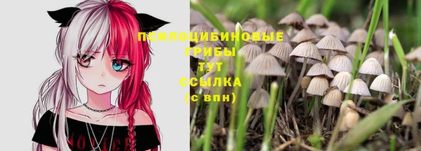 ПСИЛОЦИБИНОВЫЕ ГРИБЫ Алексин