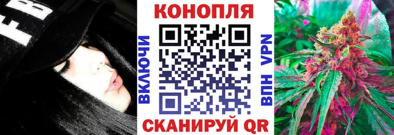 Каннабис индика  Заполярный 